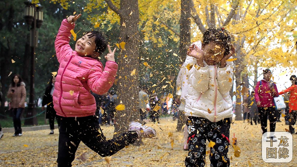 微信图片_20191129153500