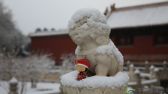 2019年11月30日，京城入冬第一场初雪如期而至，故宫更是成为雪后首选打卡地。王铁忠摄 千龙网发