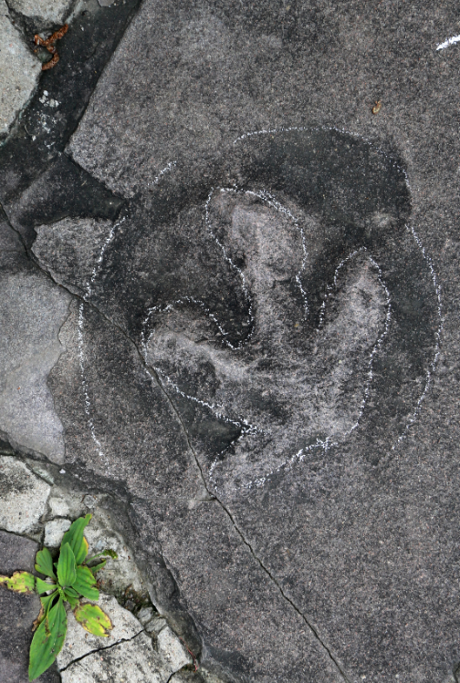 ʯ��·���ֿ����㼣������ɽׯԭ���ǡ�٪�޼͹�԰��