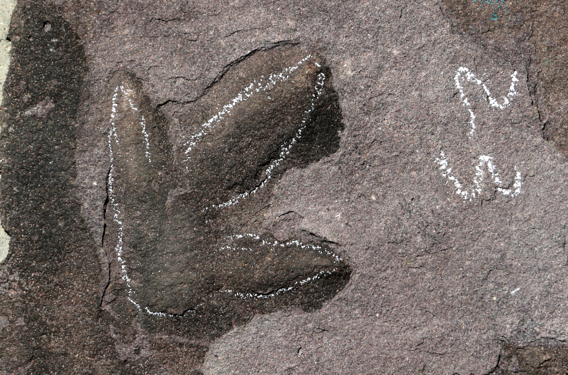 ʯ��·���ֿ����㼣������ɽׯԭ���ǡ�٪�޼͹�԰��