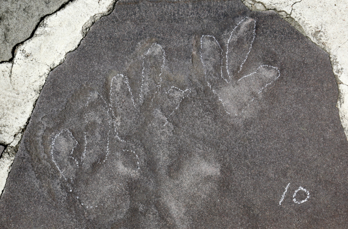 ʯ��·���ֿ����㼣������ɽׯԭ���ǡ�٪�޼͹�԰��