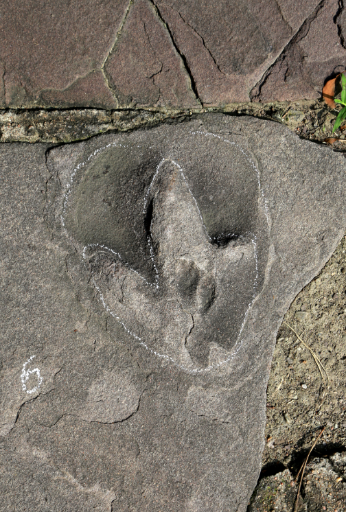 ʯ��·���ֿ����㼣������ɽׯԭ���ǡ�٪�޼͹�԰��