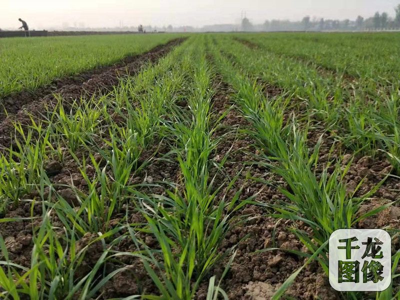 微信图片_20191209164729_副本