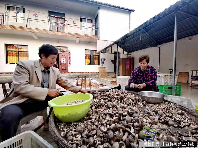 微信图片_20191209164746_副本