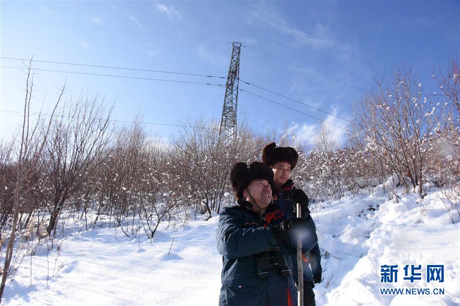 （新春走基层·图文互动）（2）走向雪山深处的巡线工人