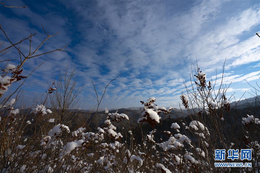 （新春走基层·图文互动）（1）走向雪山深处的巡线工人