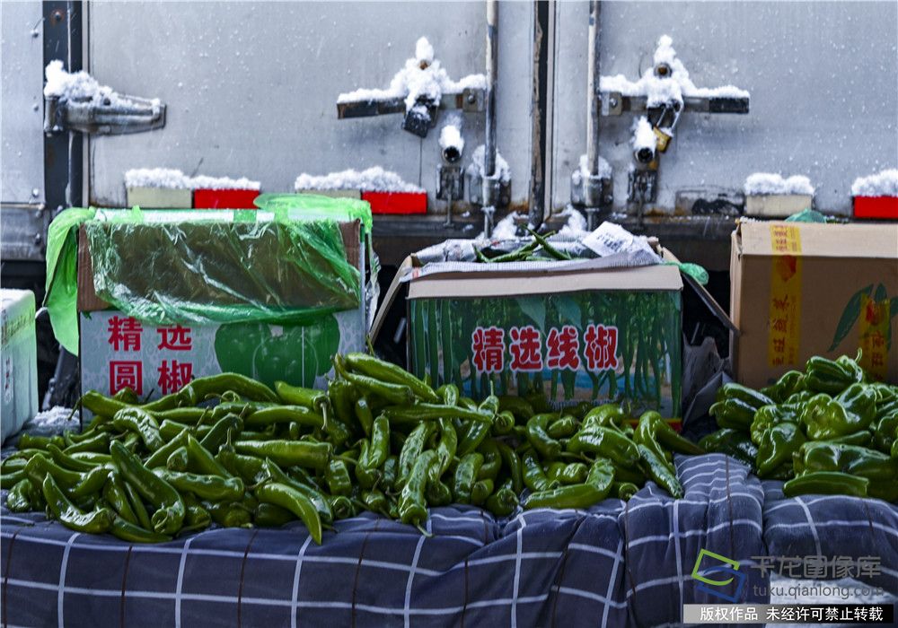 蔬菜直通车冒雪按时为社区居民送来新鲜蔬菜和水果。王保生摄 千龙网发