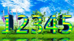 解疑释惑、查堵盲点，12345拓展服务领域