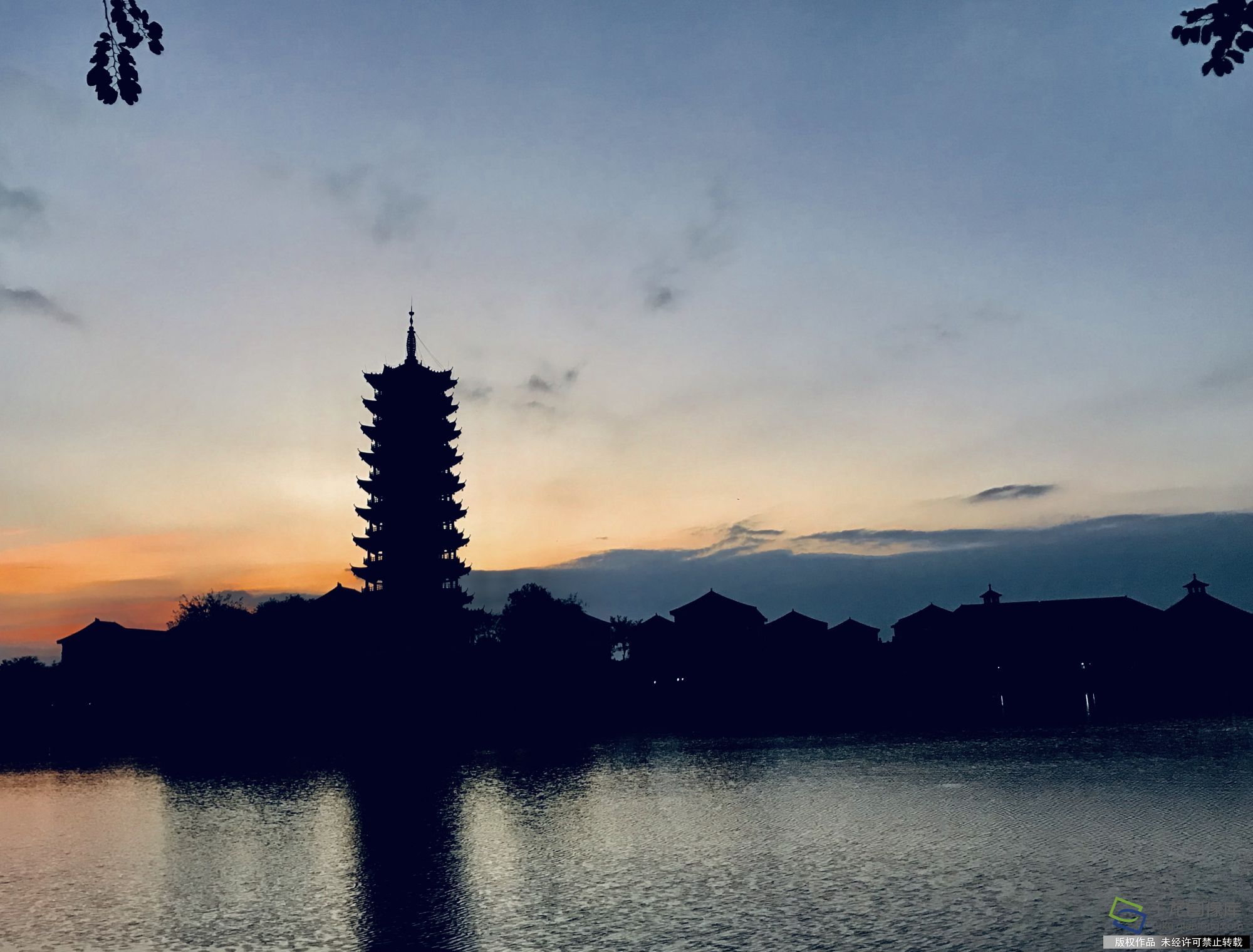 念·校园|南方医科大学陈湘雨：影