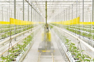 各地在粮食收获、烘干、储运、加工等环节应用智能装备——秋收来了AI助手（经济聚焦）