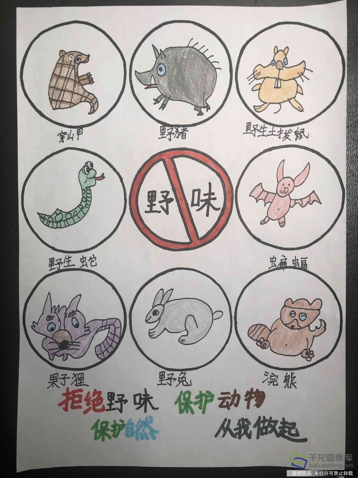 防疫抗疫 从我做起|北京市西城区白纸坊小学沈子贺：拒绝野味 保护动物