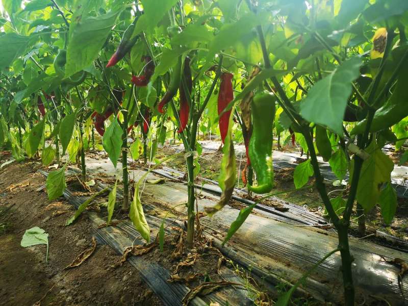 5985b362a4990dbb3f8ef1eebae6715