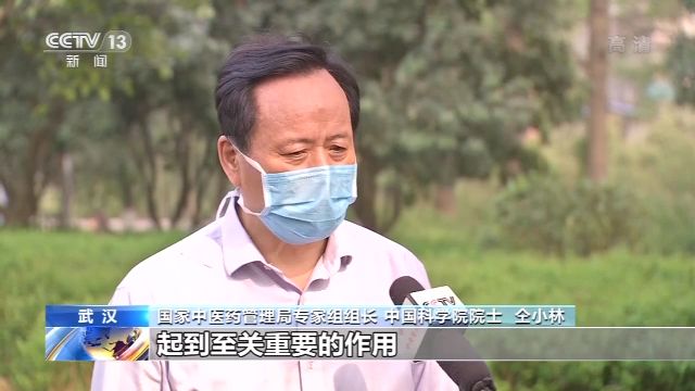 「小林」通治方+社区+互联网 仝小林院士：中医抗疫至关重要