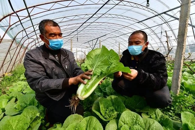 f74001306ab1f3746b609a8678175830_640_wx_fmt=jpeg&tp=webp&wxfrom=5&wx_lazy=1&wx_co=1