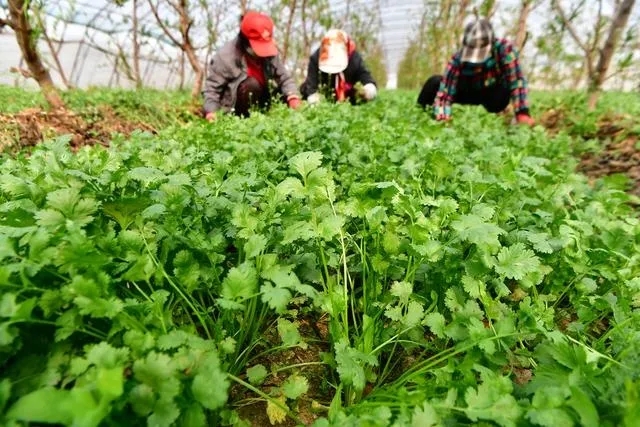 5c373b5964bd6a65f70ebcd5a79ad550_640_wx_fmt=jpeg&tp=webp&wxfrom=5&wx_lazy=1&wx_co=1