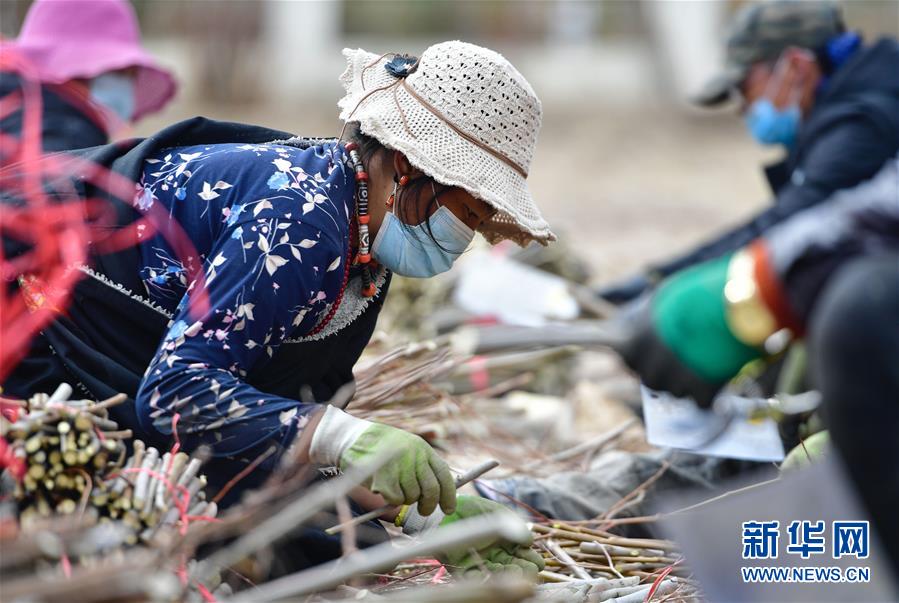(新华全媒头条·图文互动)(13)三江之源见证中国奇迹——写在玉树地震10周年之际