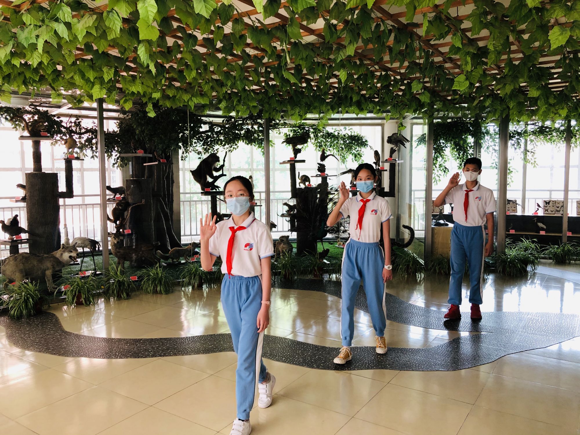 北京市朝阳师范学校附属小学四五年级学子重返校园