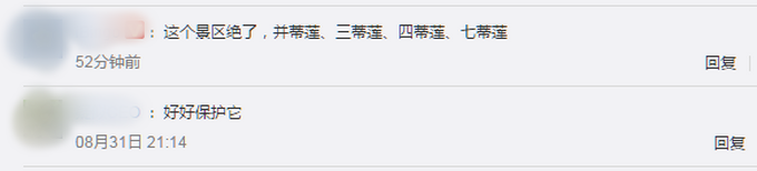 惊艳了!广州莲花山首次发现四蒂莲 并蒂莲、三蒂莲、七蒂莲,这个景区绝了!