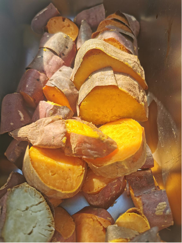 图片4.png 图片4.png