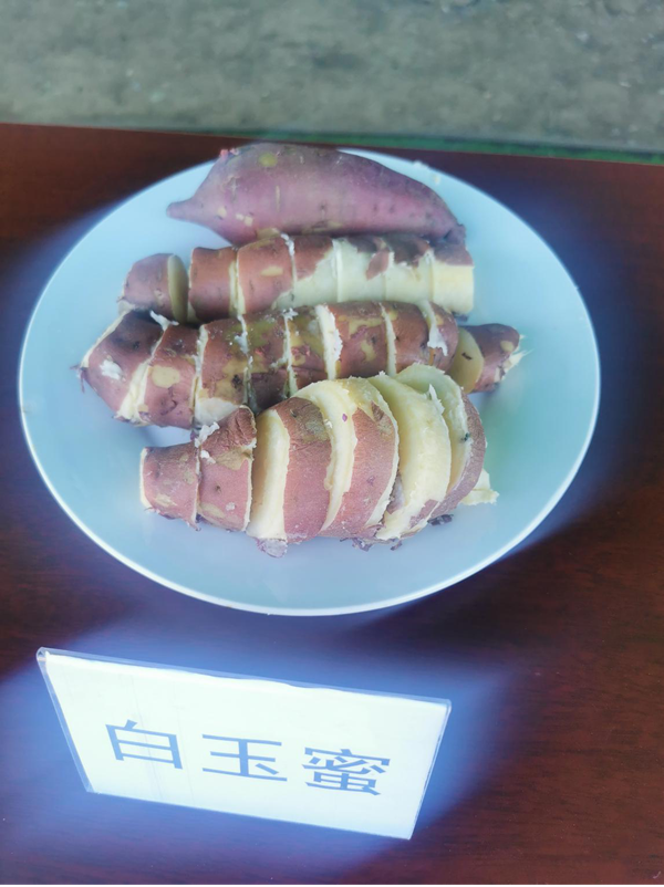 图片3.png 图片3.png