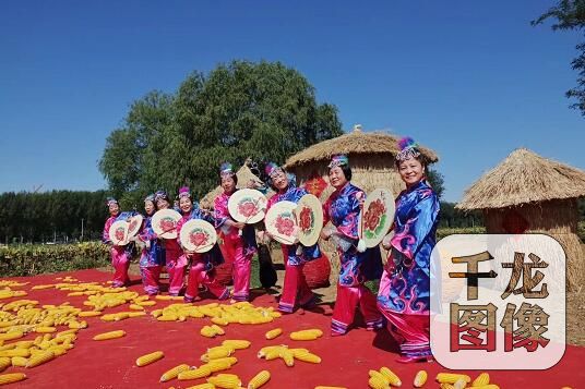 (王佐镇供图)千龙网发