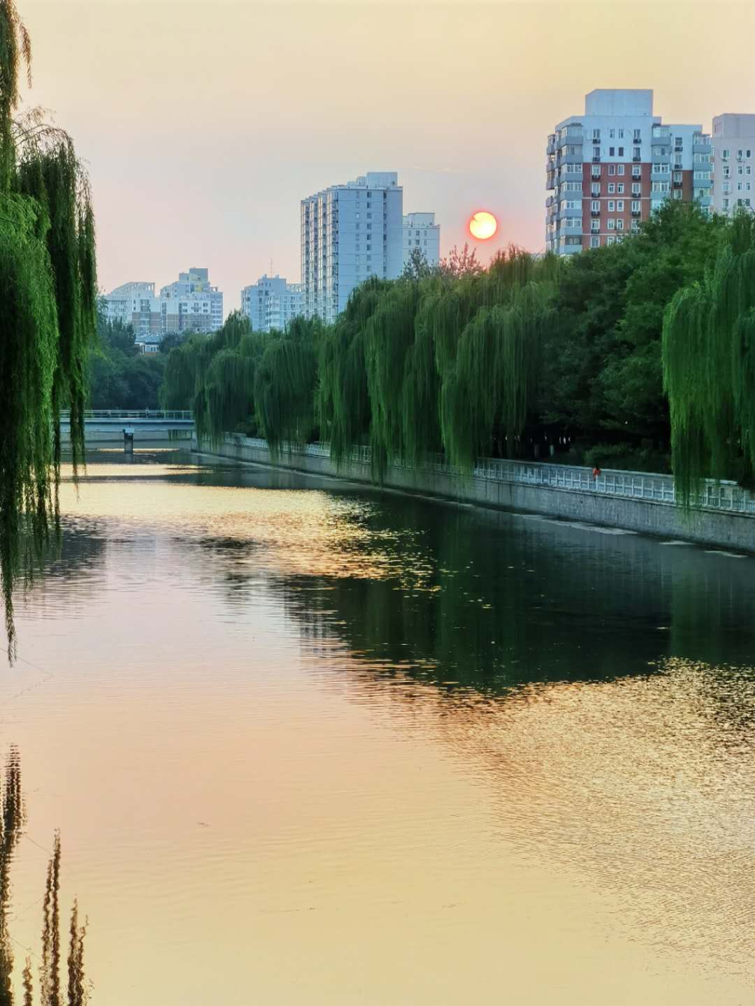 太阳高高地挂在初秋的天空,束光洒在河面上。