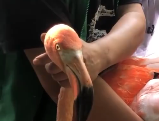 ΢Žͼ_20201015200143