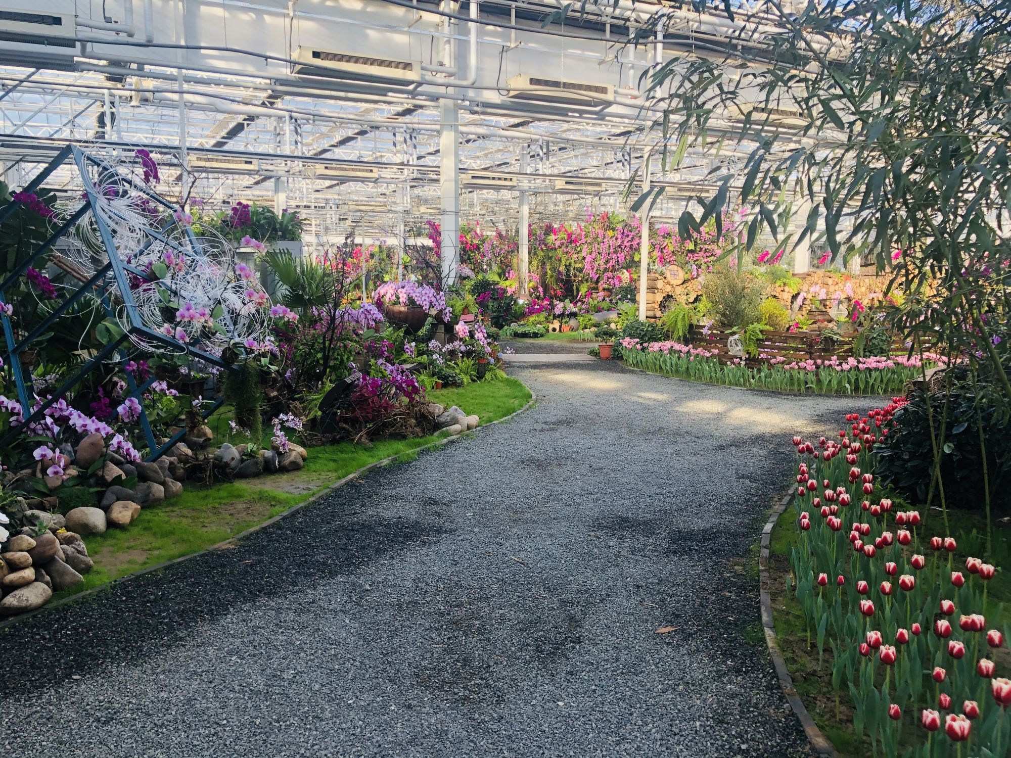 北郎中花木中心流露出浓浓的自然气息。 张璐 摄