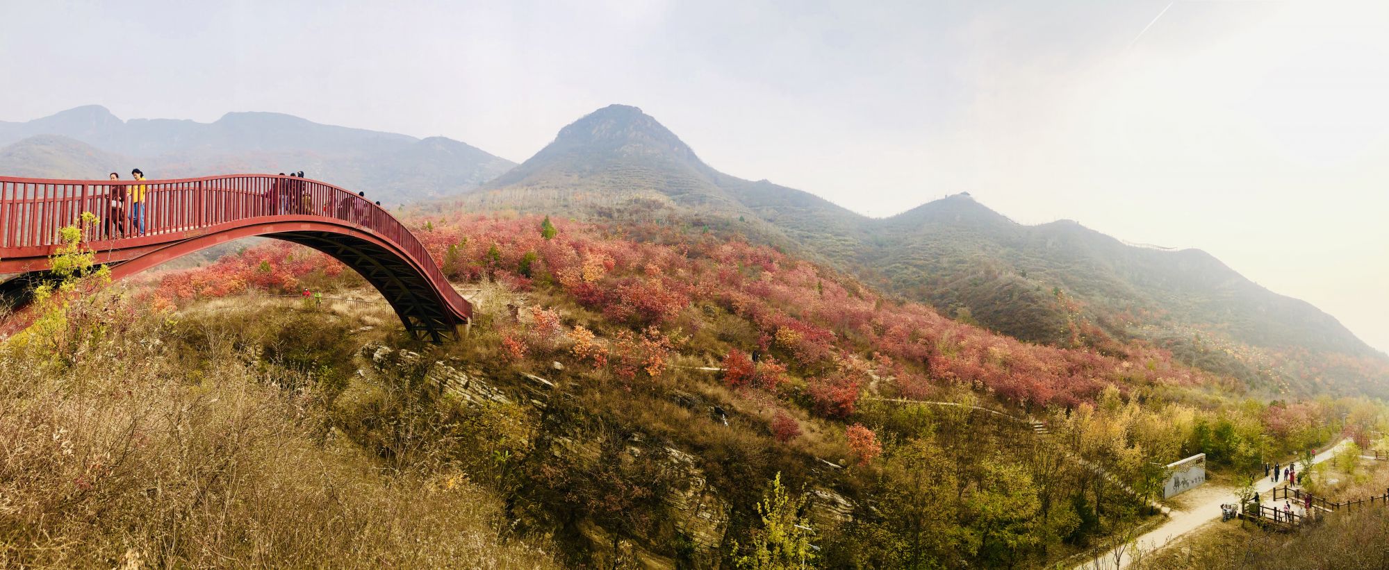 浅山秋景美不胜收。 张璐 摄