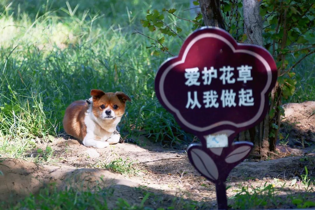 文化兴村 在“传”字上做文章