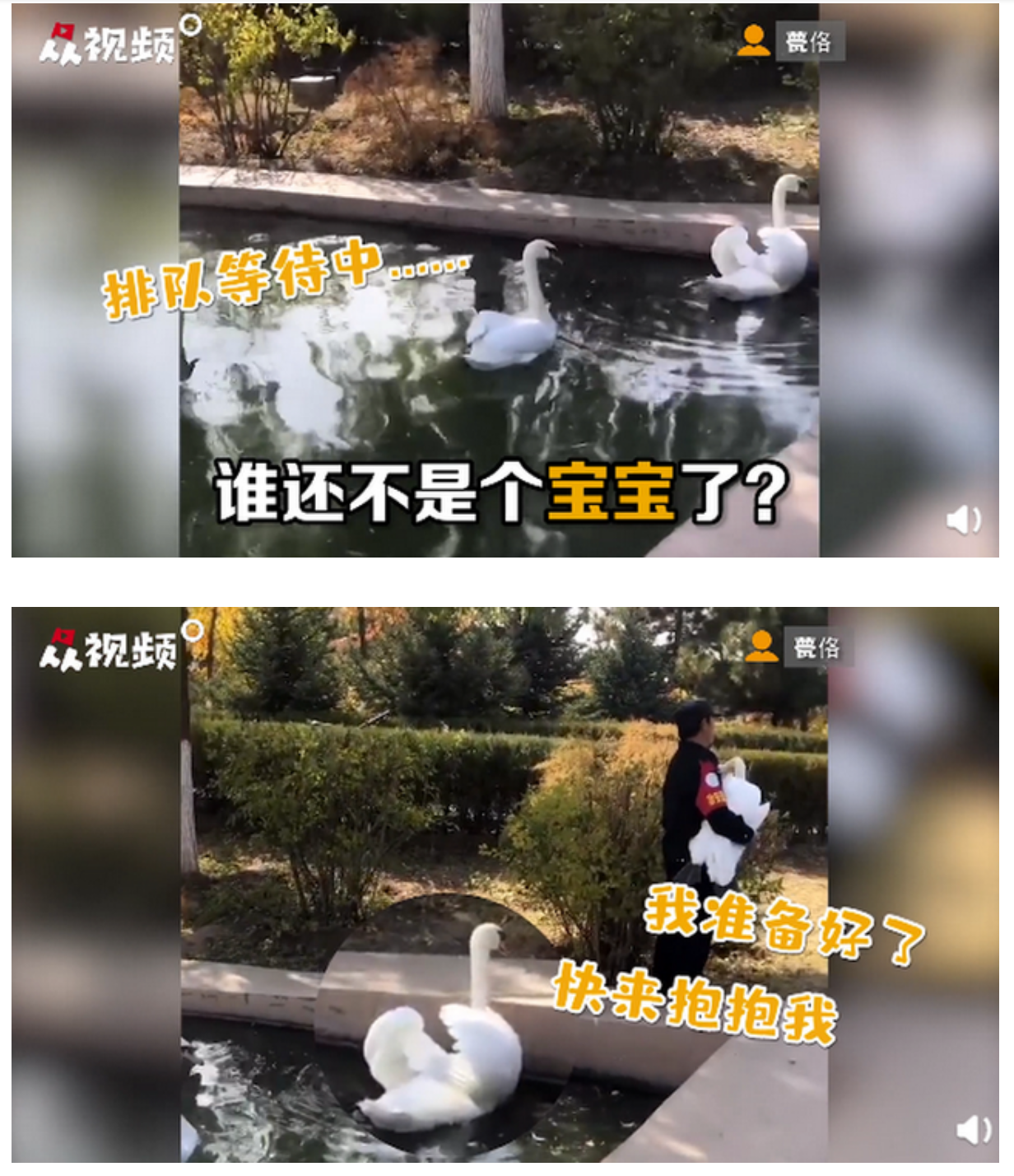 屏幕快照 2020-11-02 上午8.42.10