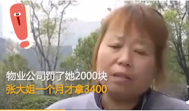 730e0cf3d7ca7bcb45cf57be1648cd64f724a8b0