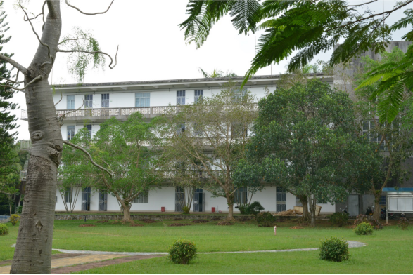 海南选景通稿(2)(1)442