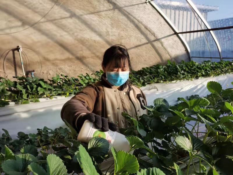 日前，记者从北京市植物保护站了解到，截至目前，本市已建成绿色防控示范基地105家，覆盖面积3.4万亩，超额完成到2020年建设100家的预期任务。