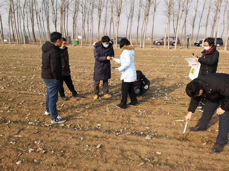 据北京市气候中心统计，本年度京郊小麦越冬前气温偏低，越冬期更是遭遇了极端低温。2021年1月7日麦区发生了近30年以来的极端低温，除昌平为-19.7℃外，其余7个小麦主产区极端低温均在-20.0℃以下，8个小麦主要种植区平均极端低温为-21.7℃，这种情况不利于小麦安全越冬，尤其对播种较浅（分蘖节埋深不到2厘米的麦田）、未浇越冬水、越冬水浇灌较早或土壤偏沙的地块麦苗不利。近日，北京市农业技术推广站组织全市推广部门对小麦越冬情况进行了调查，提出了北京小麦越冬末期及早春管理指导意见。