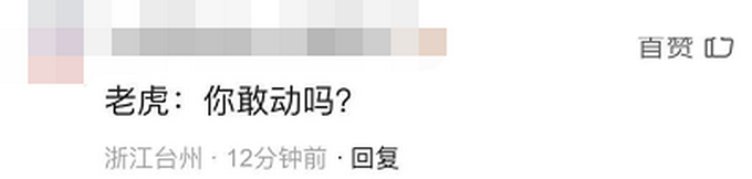 “你愁啥”吉林女子下班途中偶遇野生东北虎,对视几秒后直呼害怕