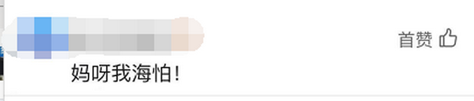 “你愁啥”吉林女子下班途中偶遇野生东北虎,对视几秒后直呼害怕