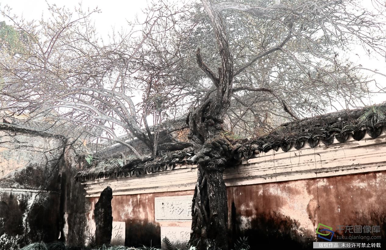 图片6