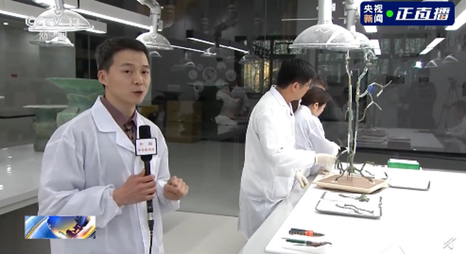 青铜神树修复后将第一时间展出 三星堆遗址专家直呼"太土豪"-千龙网·中国首都网