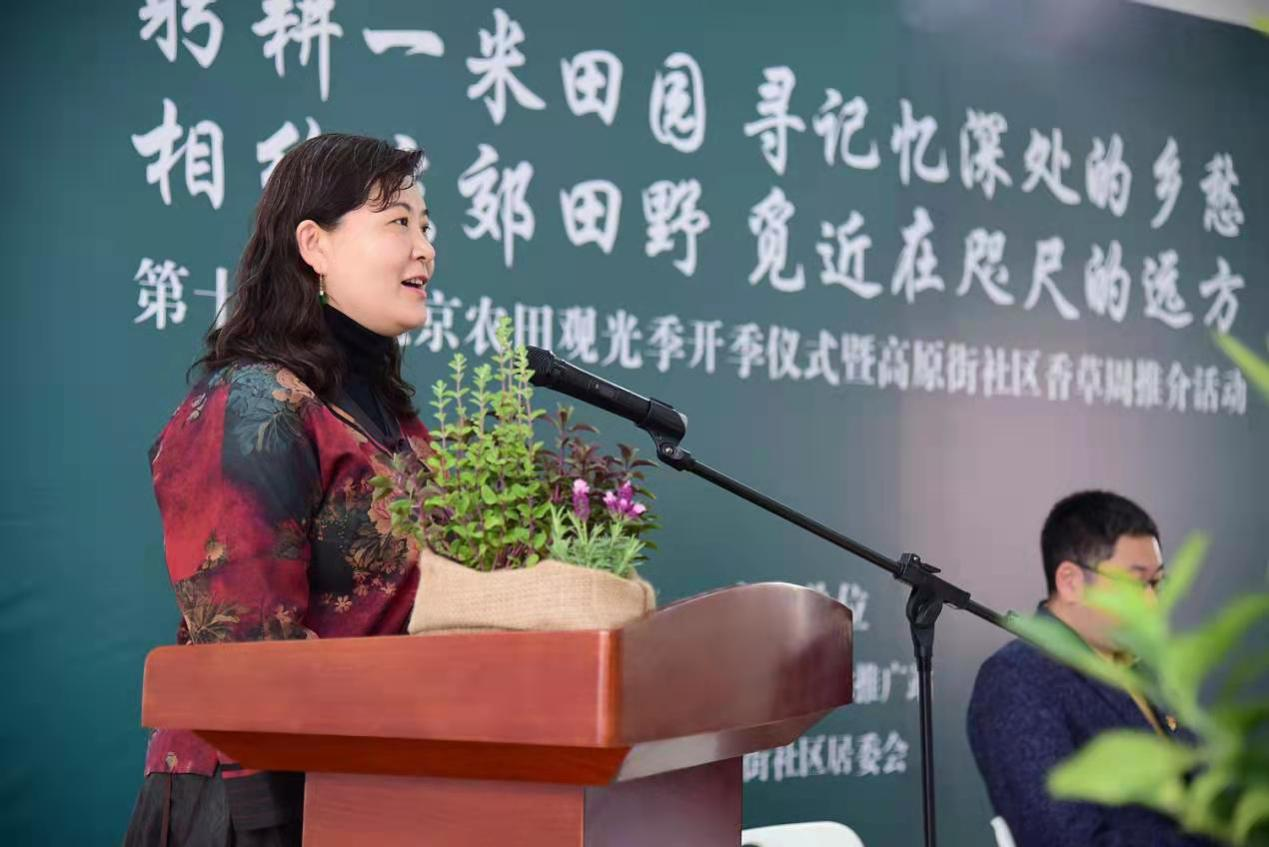 图片 4