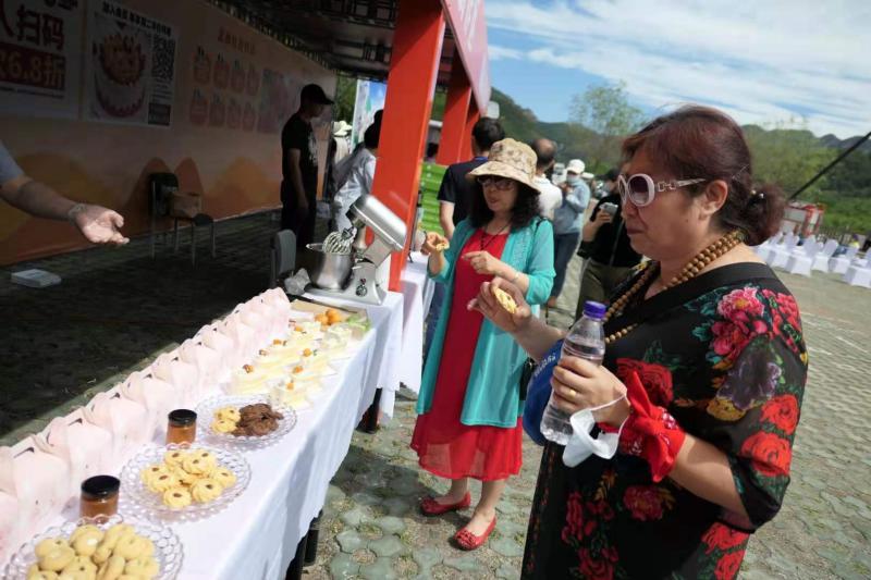 “北寨红杏只有在北寨村种植，口味才纯正。如果将其移出北寨村种植，味道、质量都将会发生改变，大有＇橘生淮南则为橘，橘生淮北则为枳＇的神奇”，平谷区相关负责人介绍说，近年来，北寨红杏产业助农增收致富是南独乐河镇产业振兴助推乡村振兴发展的典范，今年区镇村三级积极实践山区节水灌溉新方法，高质高效推进红杏基地提升项目前期工程，构建山区灌溉水网，用以解决山区红杏灌溉用水难题，确保今年红杏结果期用水充足，为北寨杏农解决了一大难题。