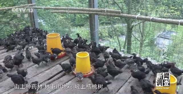 点击进入下一页