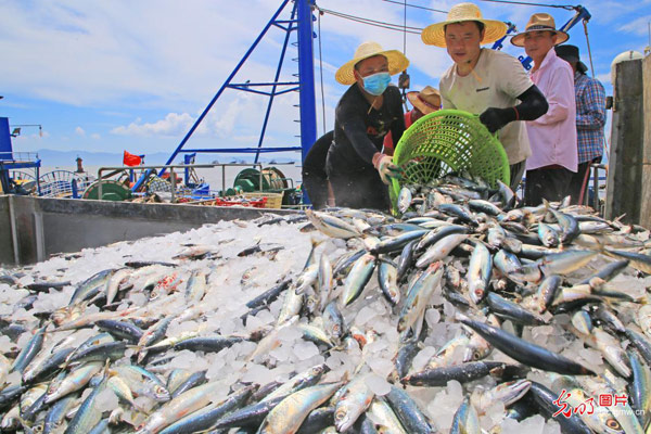 【网络中国节&middot;中秋】中秋时节话丰收