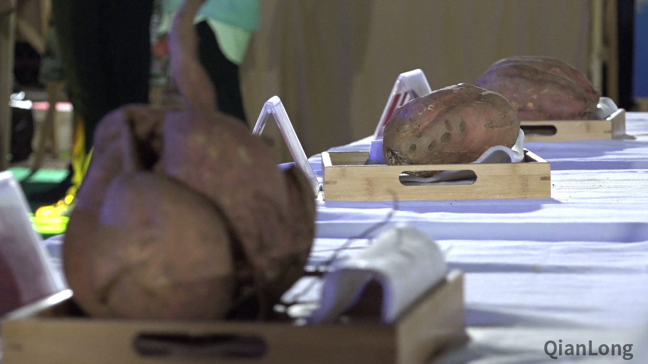 微信图片_20210922094158