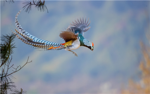 GetAttachment (1).jpg