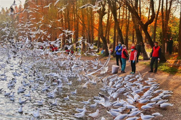 binary_middle (3).jpg