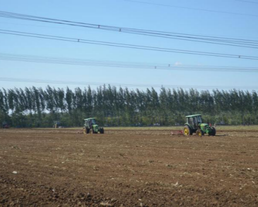 落实“五补”技术措施 提高小麦播种质量