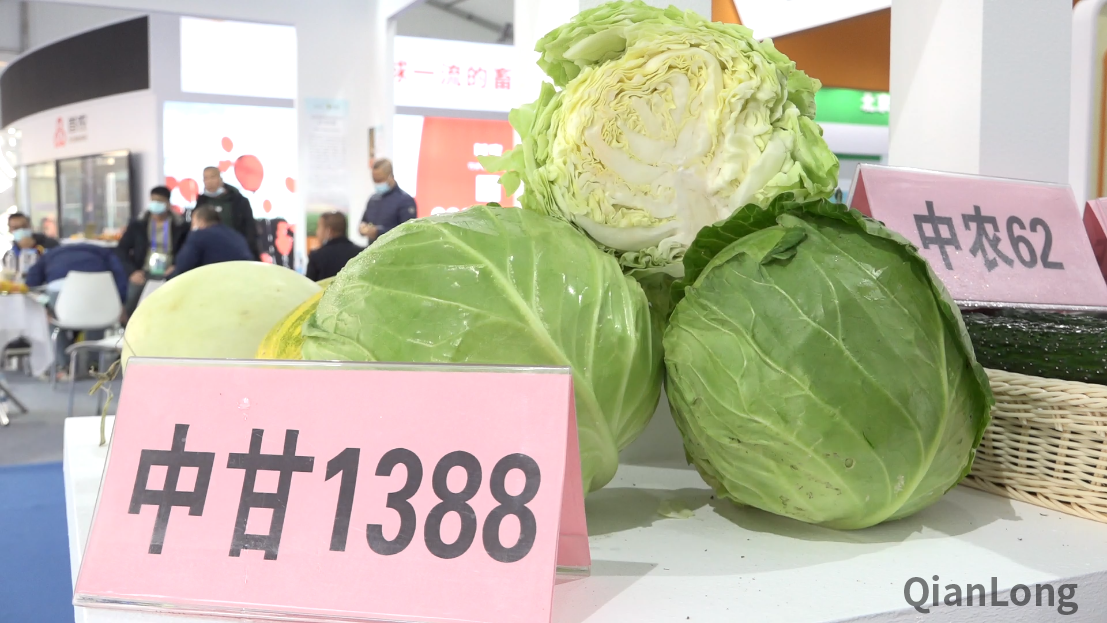 微信图片_20211019164805