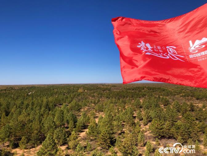 2021年10月21日,远眺毛乌素治沙造林基地。孙晓媛/摄