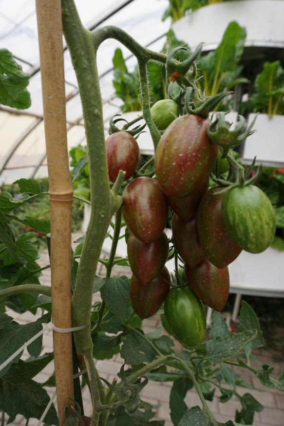 微信图片_20211028210343